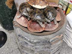 -海天堂(玉带濠店)