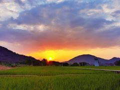 -艾米稻香小镇
