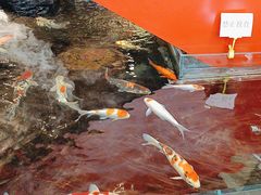 -太阳门淮扬菜(南京博物院店)