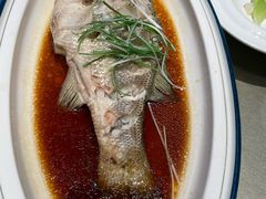 -宏宴·新京菜(望京店)