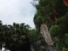 -广州市流溪河国家森林公园