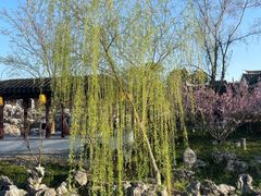-北寺塔