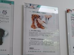 -瑞派雷欧宠物医院·24h夜诊·心脏骨科牙科·全科重症转诊中心(无影山店)