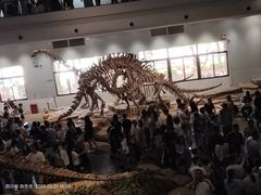 -自贡恐龙博物馆