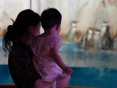 -太平洋海底世界