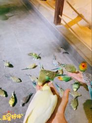 -酷嗒动物文化乐园(cutezoo西溪乐天城店)