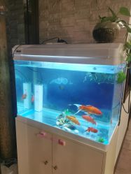 -青青一生美皮肤管理