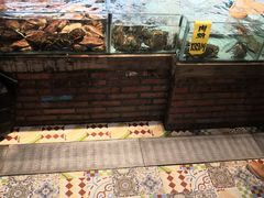 -九號渔港·蒸汽海鲜·粤菜茶点(八卦岭店)