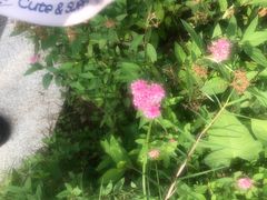 -箱美术馆私房菜(水晶郦城店)