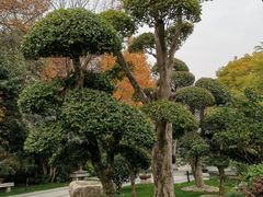 -南京东郊国宾馆