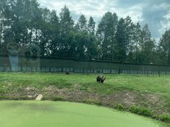 -上海野生动物园