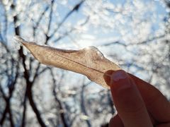 -长春公园(普阳街道)