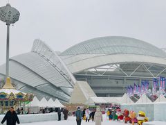 -沈阳奥体冰雪嘉年华