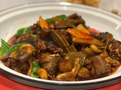 红烧大甲鱼-扬州狮子楼·非遗淮扬菜(总店)