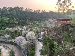 -龙门水都景区