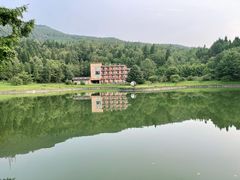 -武陵山森林公园