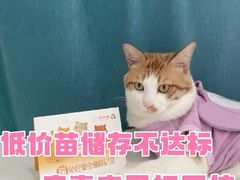 -康旭宠物医院(郑州总院)