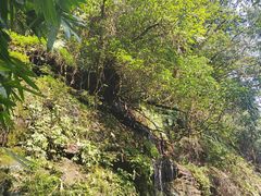 -碧峰峡风景区