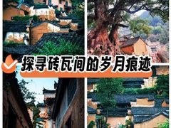 -杨家堂村