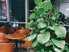 -Wagas沃歌斯(五道口购物中心店)