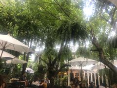 -Fern Forest Cafe