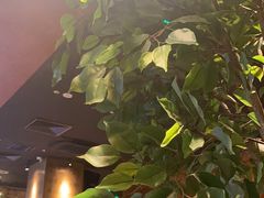 -同仁四季椰子鸡(无锡滨湖万象汇店)