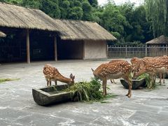 -金沙遗址博物馆