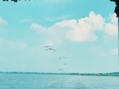 -卧龙湖
