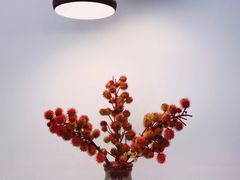 -铁手珈琲制造局metalhands(望京店)
