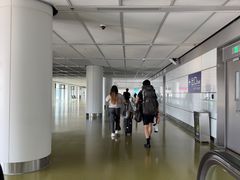 -郑州新郑国际机场-T2航站楼