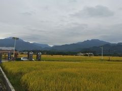-罗坑大草原