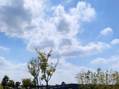 -嘉北郊野公园
