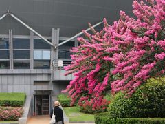 -杭州城北体育公园