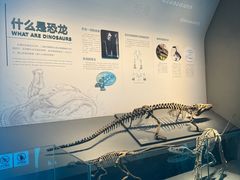 -自贡恐龙博物馆