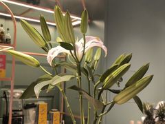 -南堂馆·新川菜(春熙路店)