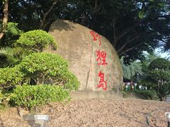 -野狸岛