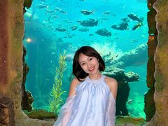 -长鹿旅游休博园