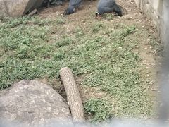 -上方山森林动物世界