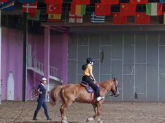 -月河湾马术俱乐部(朝阳店)