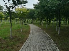 -东郊湿地公园
