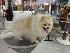 -宠物世家(仲盛世界商城店)