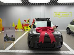 -上海浦东smart汽车全功能店(金桥店)