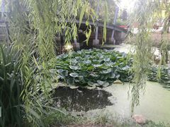 -长白岛森林公园