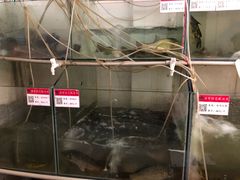 -苗家恒灵酸汤鱼-跳水牛肉连锁店(凯里总店)