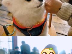 -the rug 飞毯 (朝阳公园店)