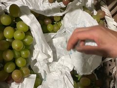 -马陆小张葡萄园农家乐