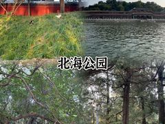 -Catail前苑(前门大街店)