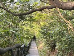 -梧桐山风景名胜区