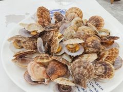 -庆山饭店·海鲜饺子家常菜(北戴河黑石路店)