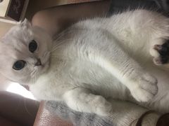 -MOLLY'S萌宠生活馆